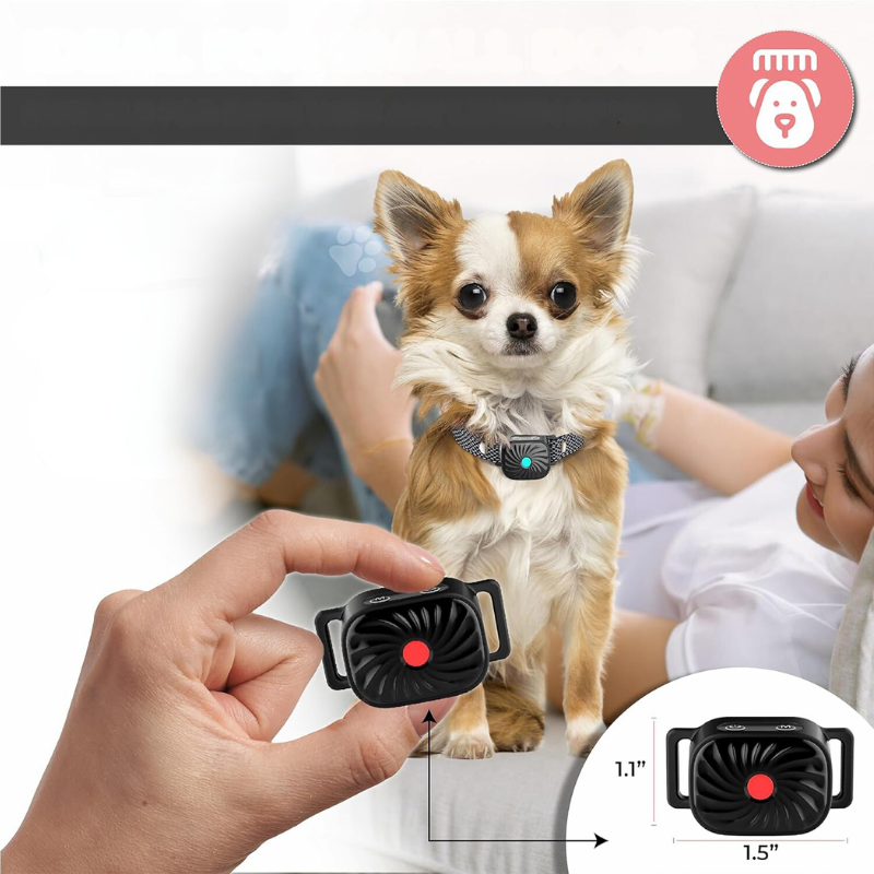 QuietTail - Anti-blafhalsband voor kleine honden