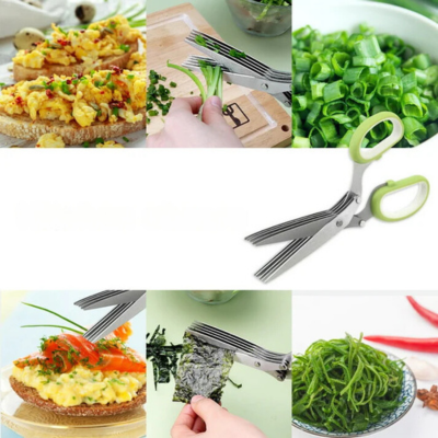 KitchenEdge - Roestvrijstalen keukengereedschap met vijf bladen, meerlagige kruidensnijder en keukenschaar