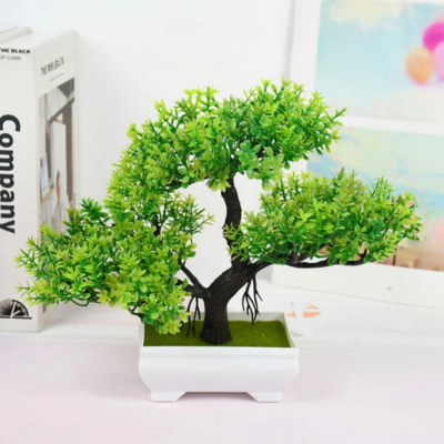 BonsaiBloom - Een prachtige bonsaiboom