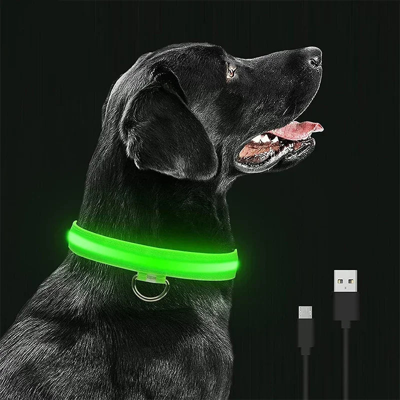 BrightBark - LED Halsband voor Hond met Oplaadbare Batterijen
