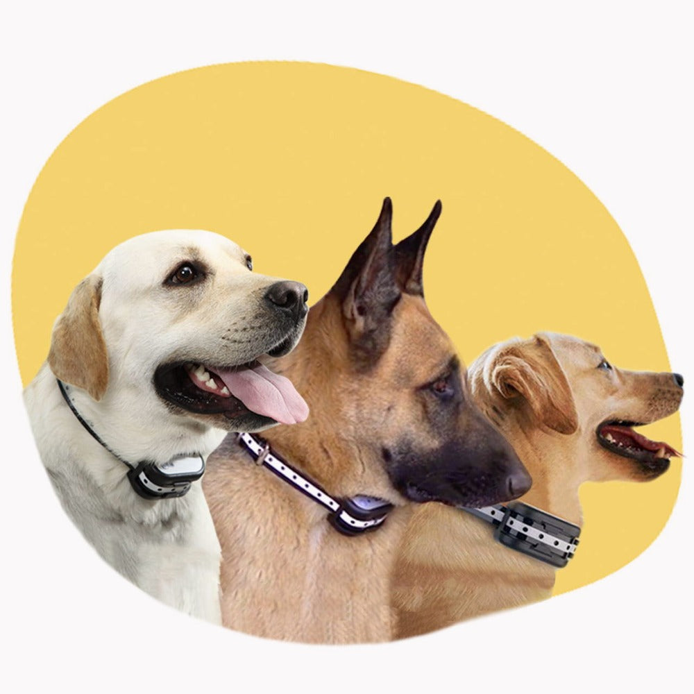 PetPerimeter - Draadloze hondenomheining met verstelbare correctieniveaus