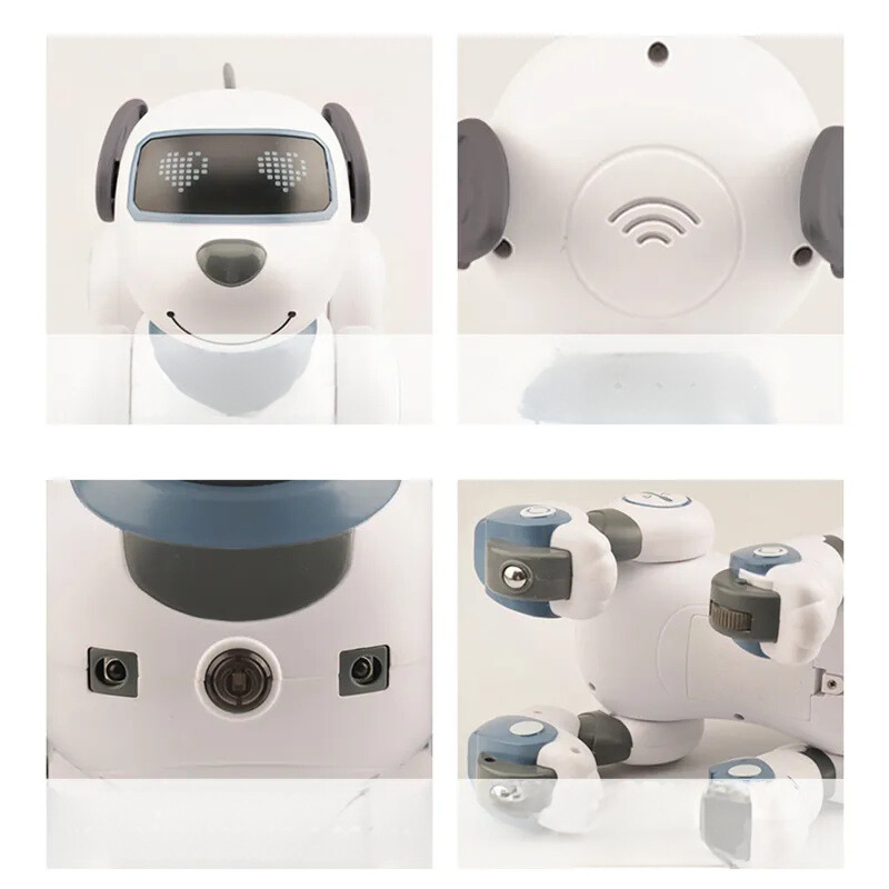 RoboPaw - Elektronische hond, stunthond, stemcommando, programmeerbare tastzin, muzikaal liedje, robothond voor kinderspeelgoed
