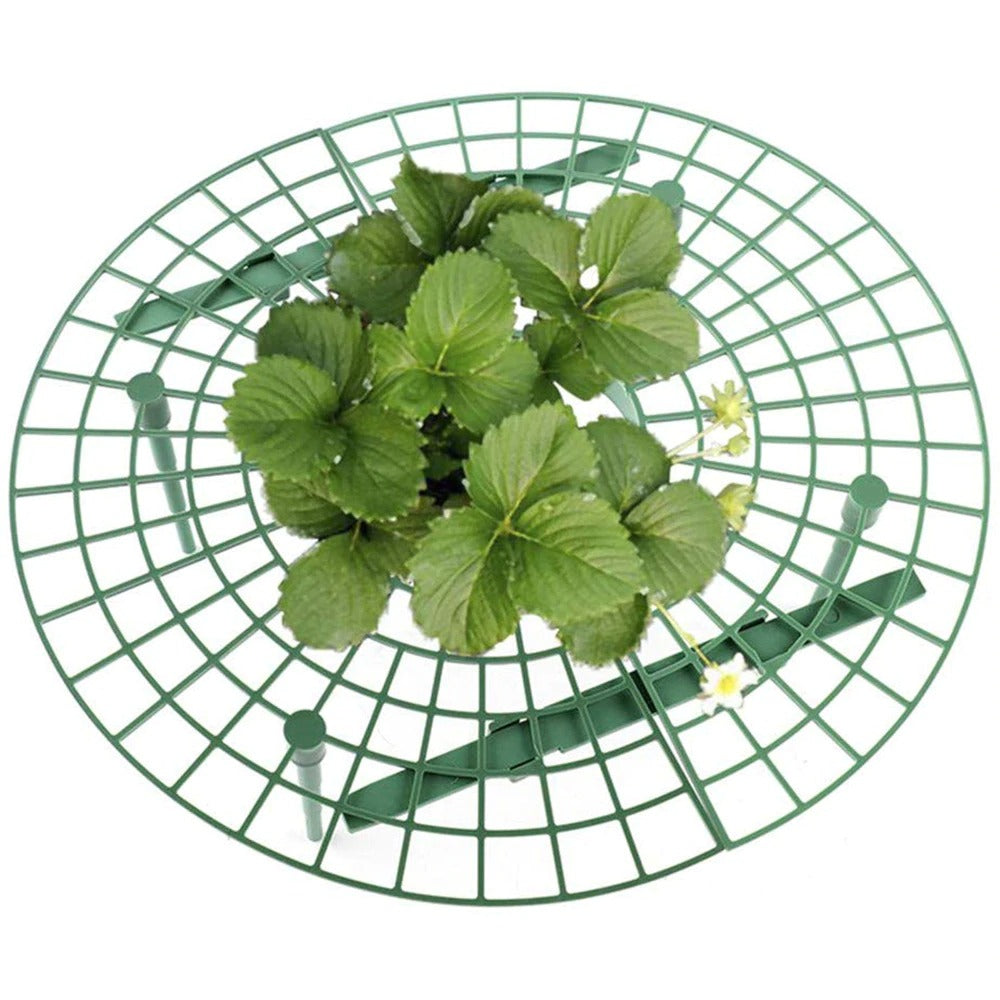 BerryBed - Verhoogde aardbeienhouder voor betere oogst