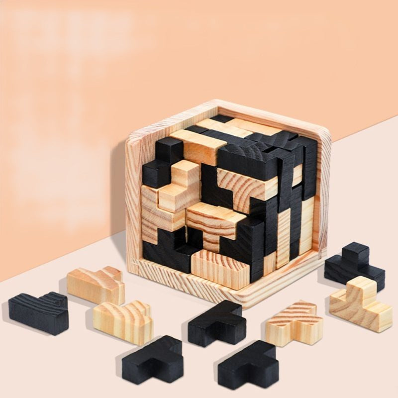 CleverCube - Brain Teaser Spellen met Houten Intelligentiespeelgoed