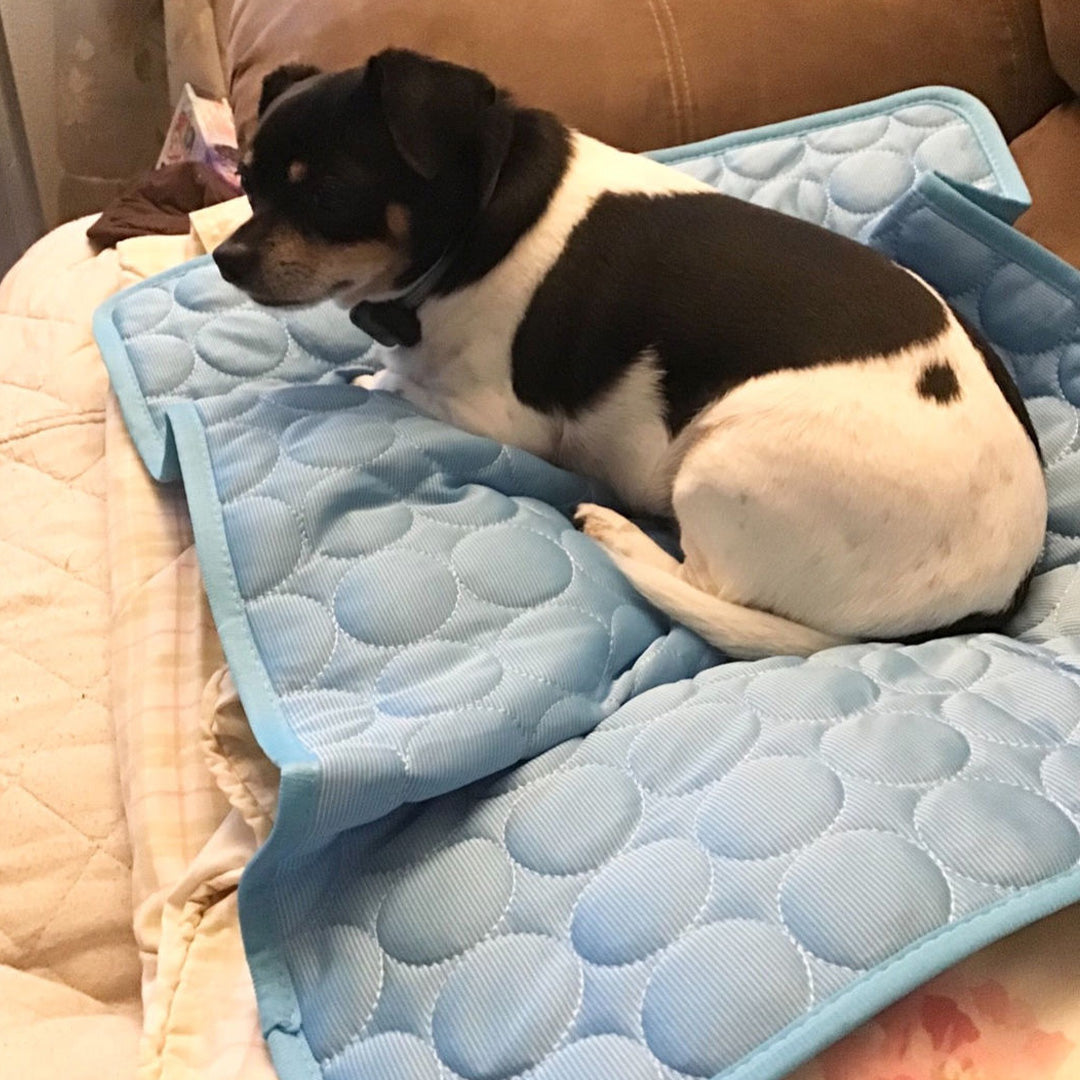 CoolSnout - Koude Mat voor Honden Faltbaar en Wasbaar