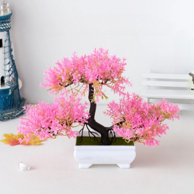 BonsaiBloom - Een prachtige bonsaiboom