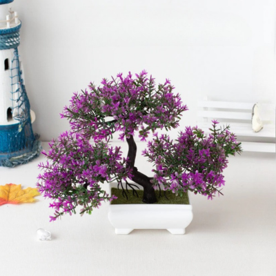 BonsaiBloom - Een prachtige bonsaiboom