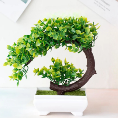 BonsaiBloom - Een prachtige bonsaiboom