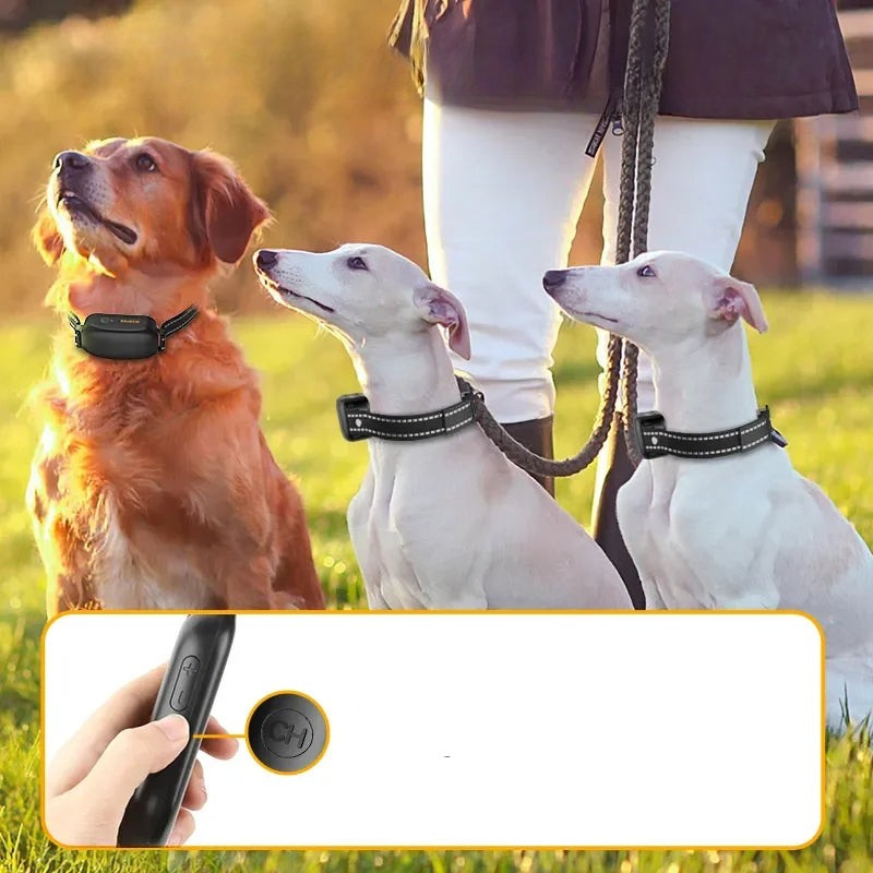 TrainPaw - Oplaadbare trainingshalsband met afstandsbediening