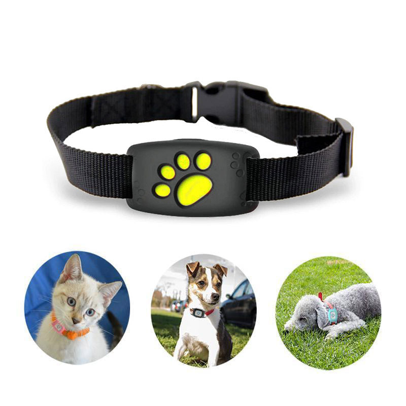 PawTrack - Slimme GPS-kattenhalsband