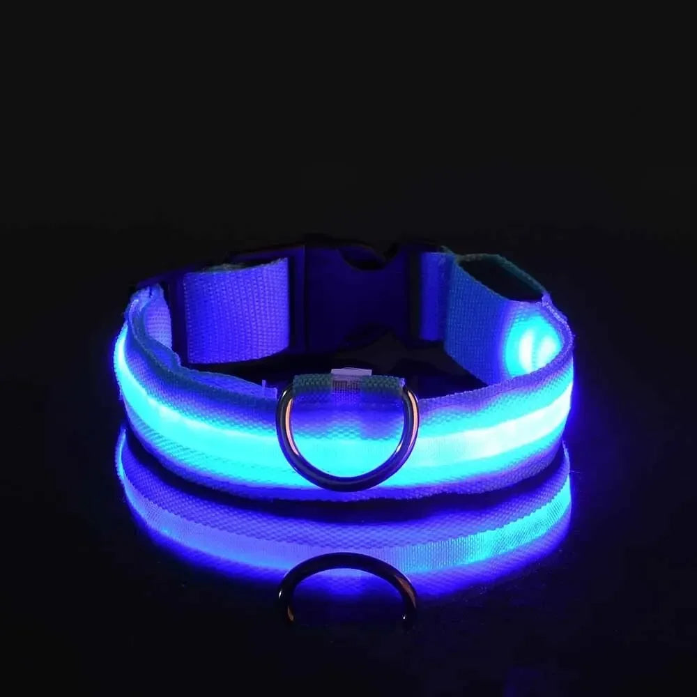 BrightBark - LED Halsband voor Hond met Oplaadbare Batterijen