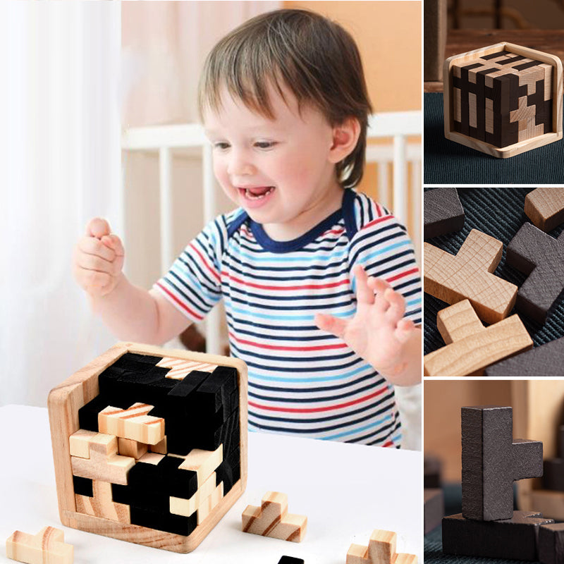 CleverCube - Brain Teaser Spellen met Houten Intelligentiespeelgoed