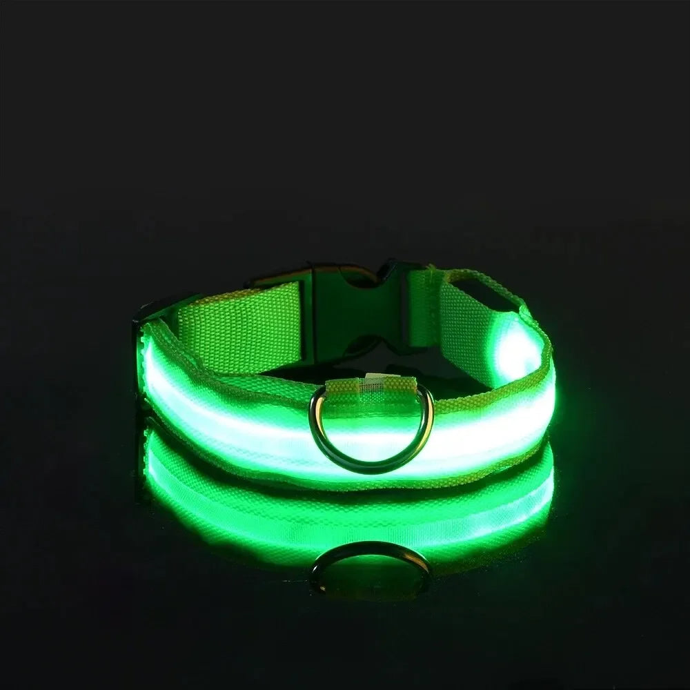 BrightBark - LED Halsband voor Hond met Oplaadbare Batterijen