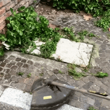 Duratrim - De onverwoestbare grastrimmer