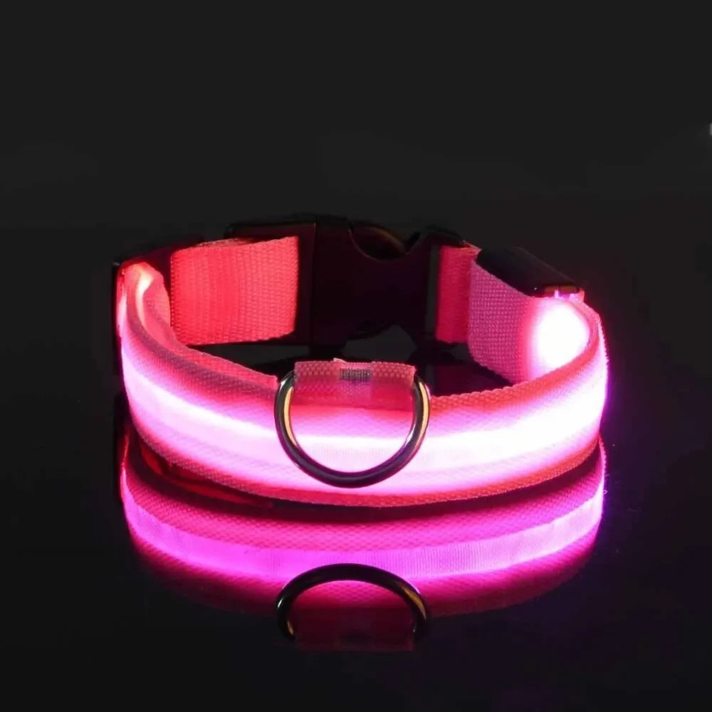 BrightBark - LED Halsband voor Hond met Oplaadbare Batterijen