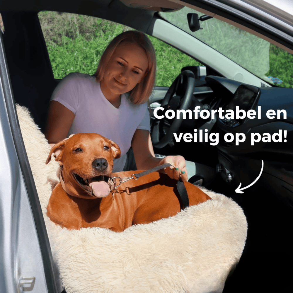 SafePaws | Auto Hondenmand