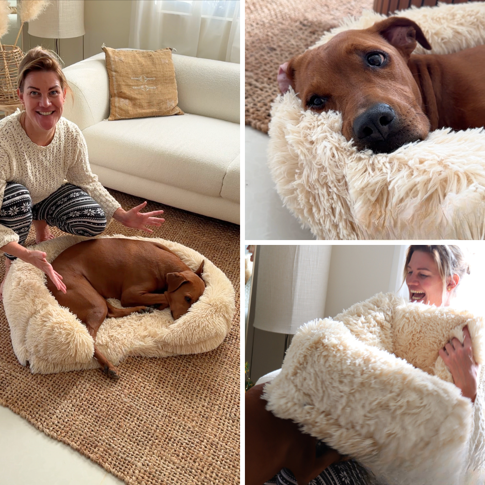 SupportivePaws | Orthopedisch Hondenbed voor meer support