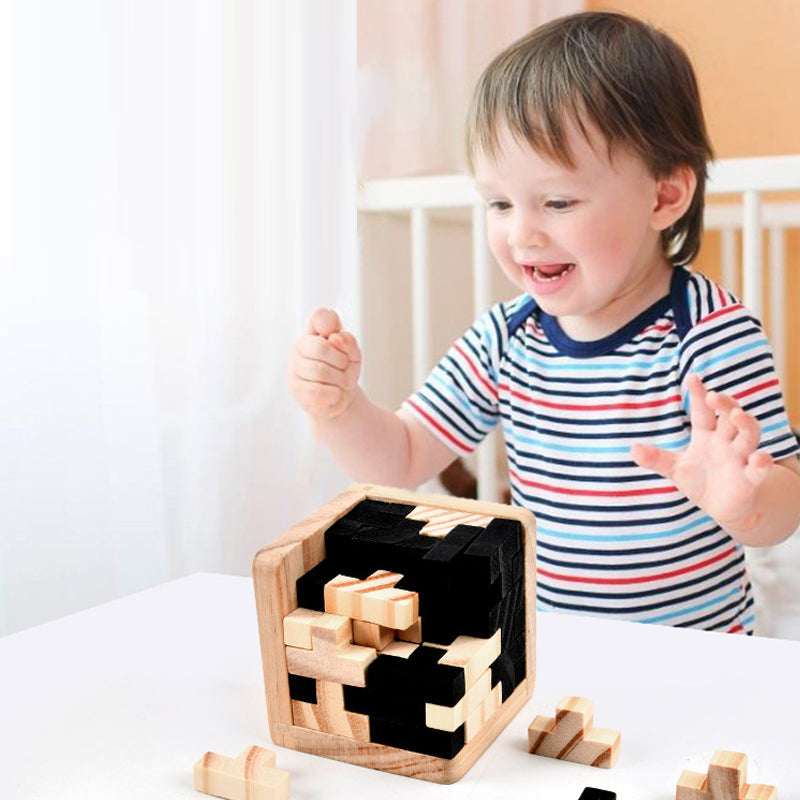 CleverCube - Brain Teaser Spellen met Houten Intelligentiespeelgoed