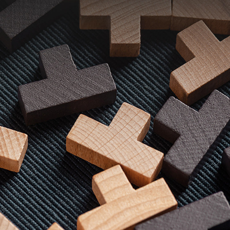 CleverCube - Brain Teaser Spellen met Houten Intelligentiespeelgoed