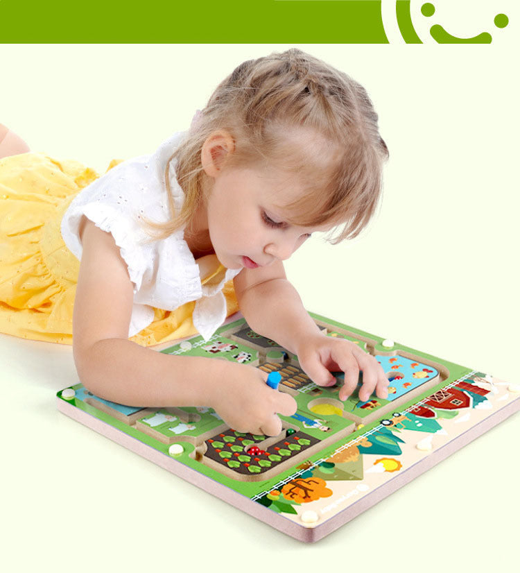 PlayZen - Magnetische Doolhof - Puzzelspel