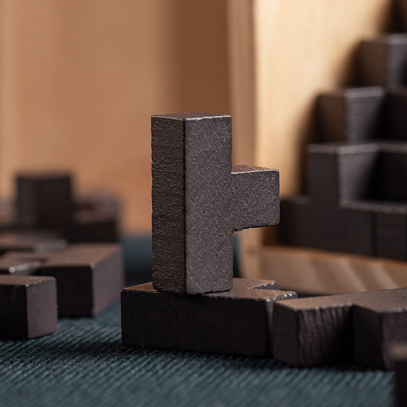 CleverCube - Brain Teaser Spellen met Houten Intelligentiespeelgoed