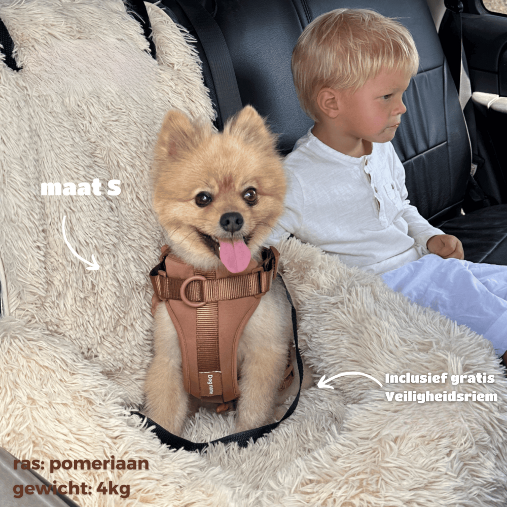 SafePaws | Auto Hondenmand