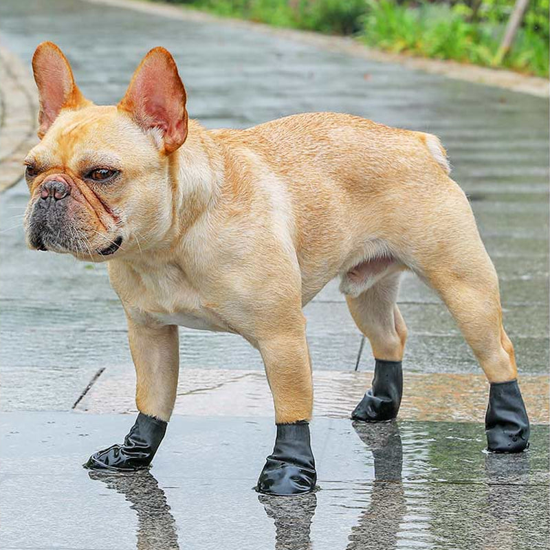 PawClad - Waterdichte hondenschoenen om de poten veilig te houden
