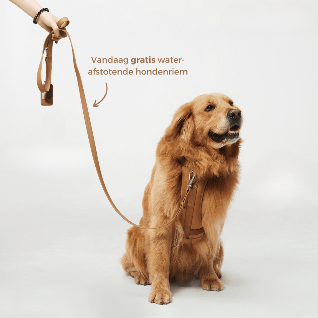 ComfyPaws | Harnas Wandel Set (Inclusief Riem en Poepzakjes Drager)