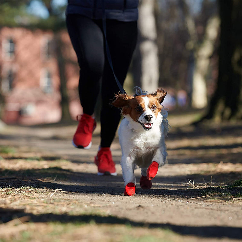 PawClad - Waterdichte hondenschoenen om de poten veilig te houden