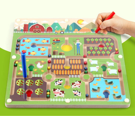 PlayZen - Magnetische Doolhof - Puzzelspel