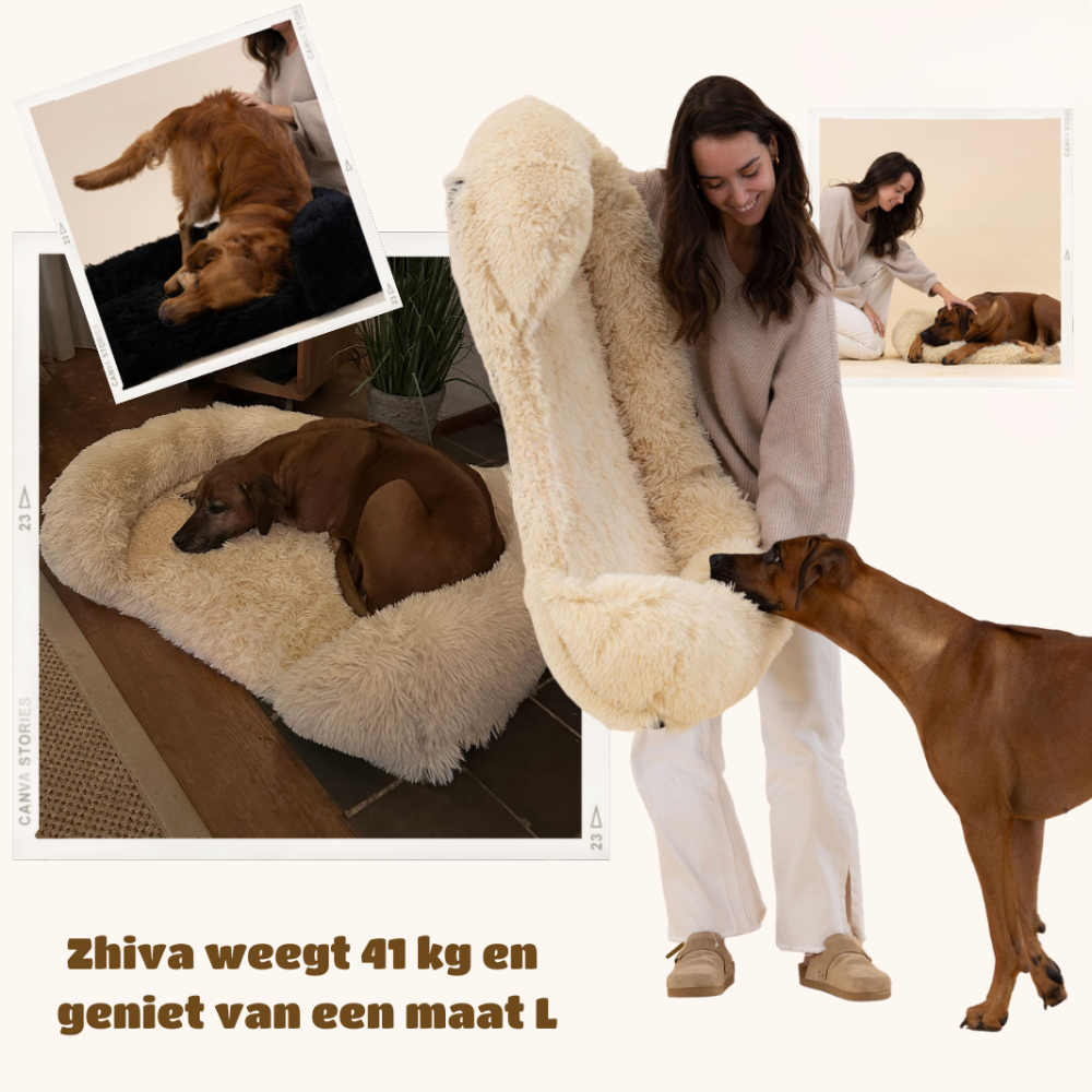 SupportivePaws | Orthopedisch Hondenbed voor meer support