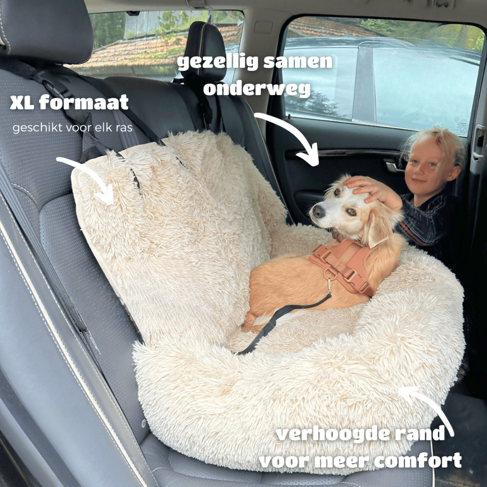 SafePaws | Auto Hondenmand