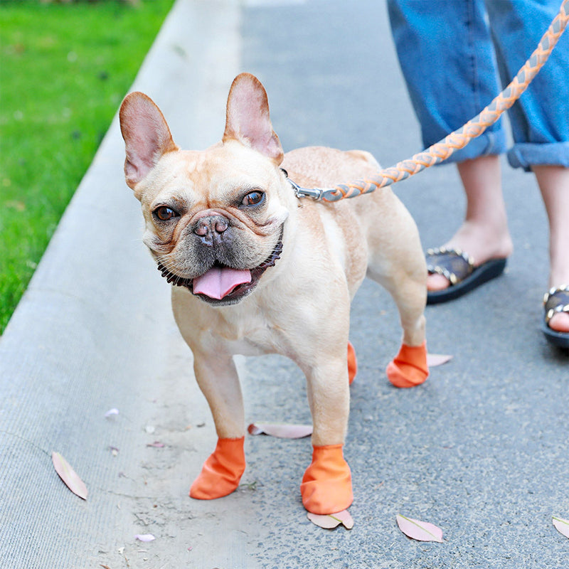 PawClad - Waterdichte hondenschoenen om de poten veilig te houden