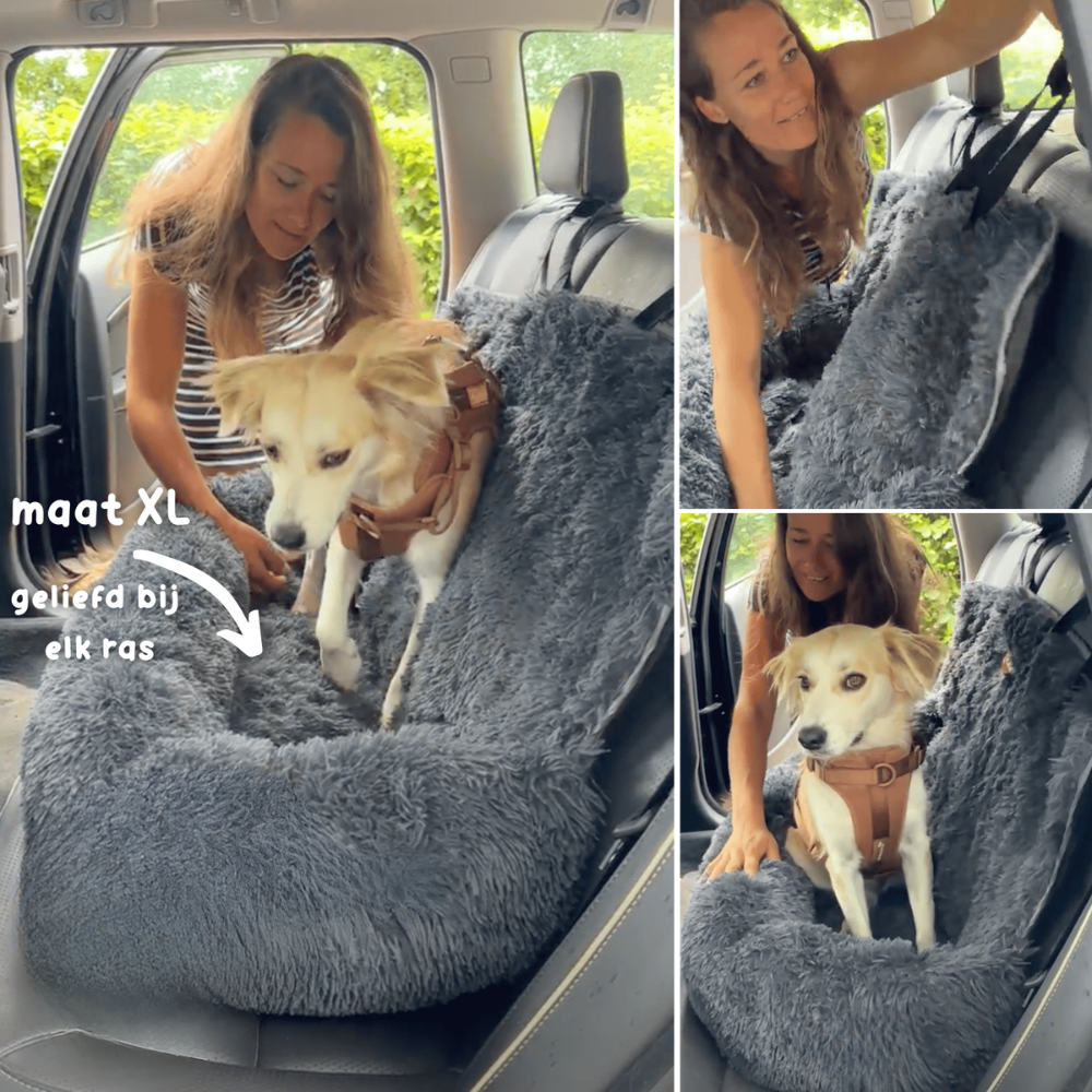 SafePaws | Auto Hondenmand