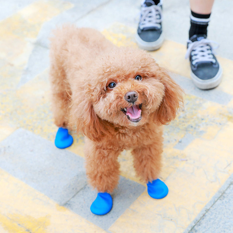 PawClad - Waterdichte hondenschoenen om de poten veilig te houden