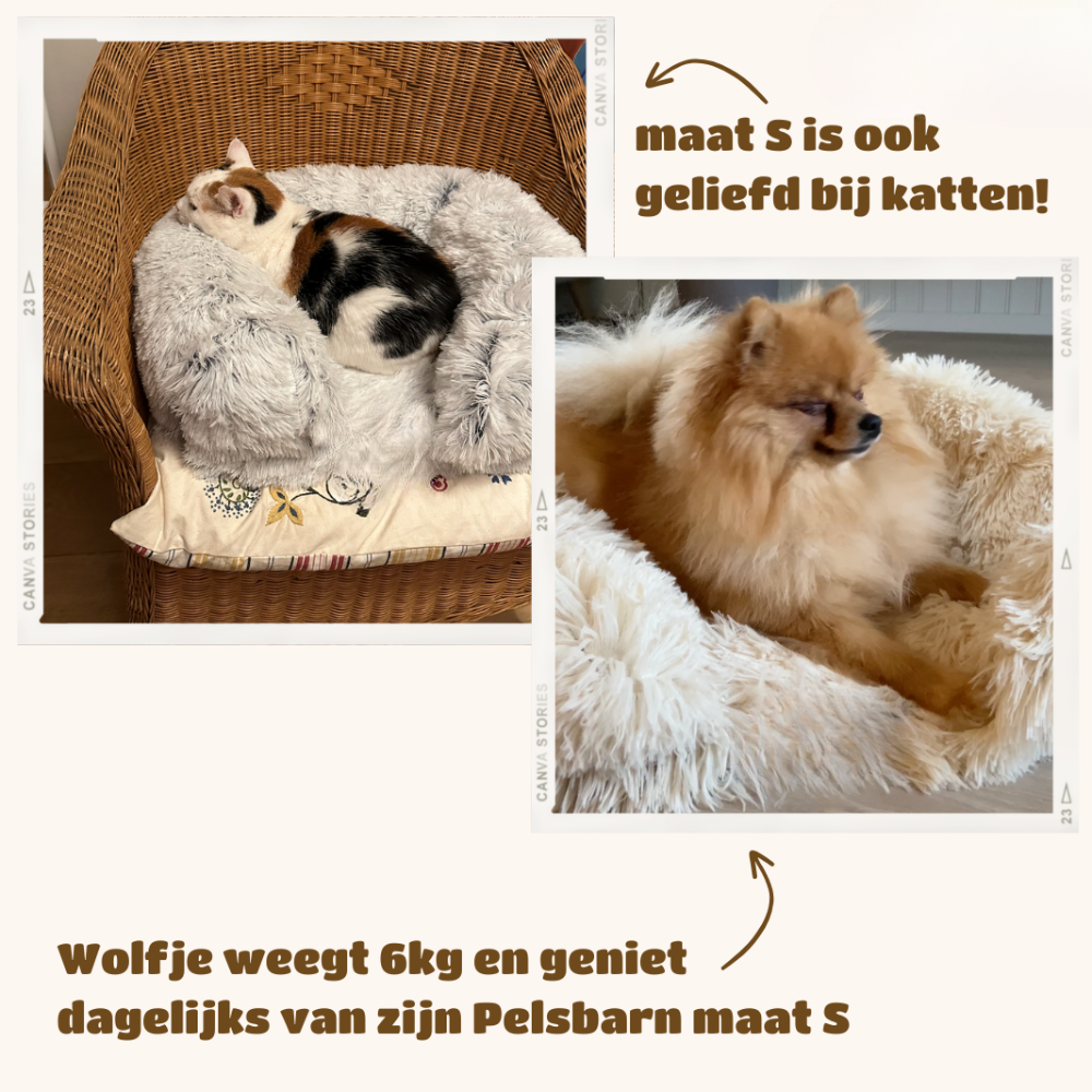 SupportivePaws | Orthopedisch Hondenbed voor meer support