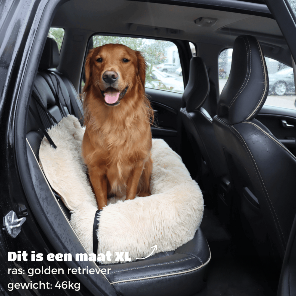 SafePaws | Auto Hondenmand