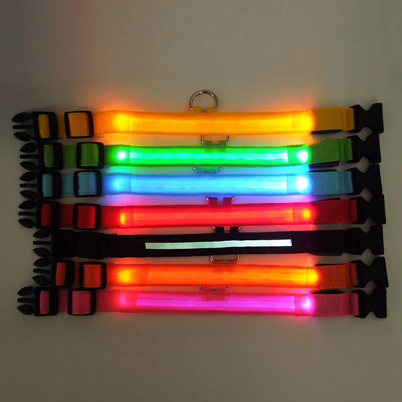 GlowPets | LED Halsband