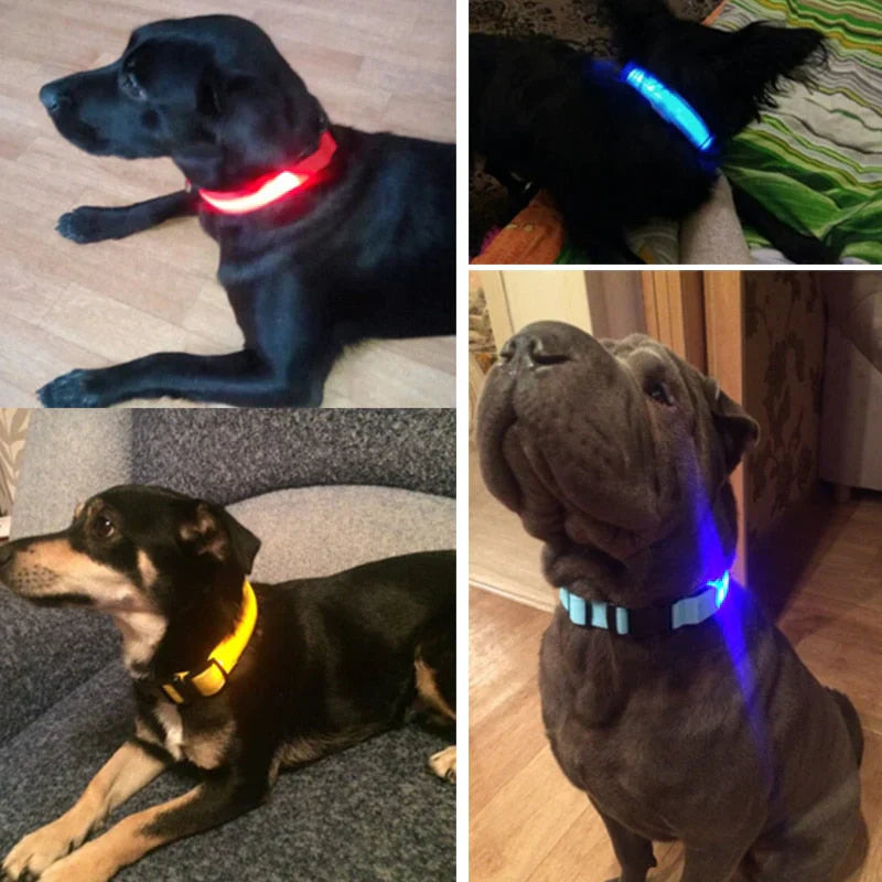 GlowPets | LED Halsband