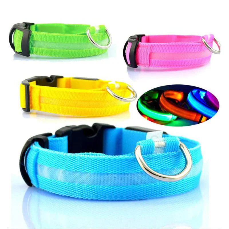 GlowPets | LED Halsband