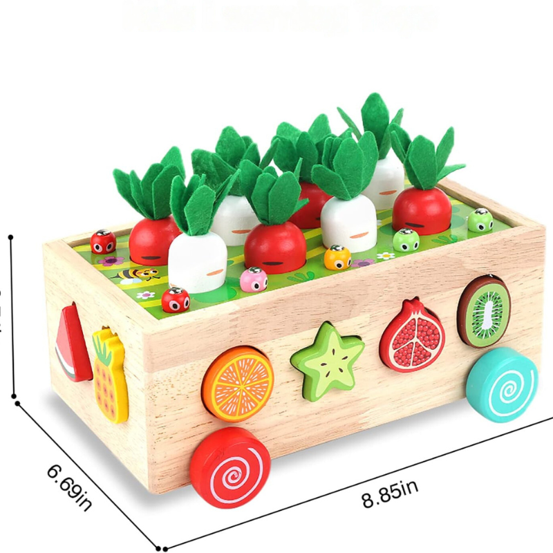 SmartSprouts | Peuters Montessori Hamer Spel Houten Onderwijsspeelgoed voor Baby Jongens Meisjes Leeftijd 1 2 3 Jaar Oud,