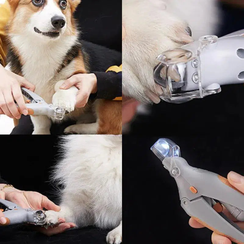 PawSync - De beste nageltrimmer met snelle sensoren
