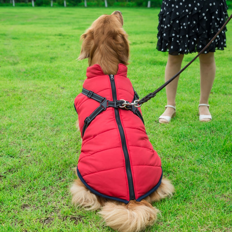 WarmHarness | Hondenjas met Ingebouwd Harnas