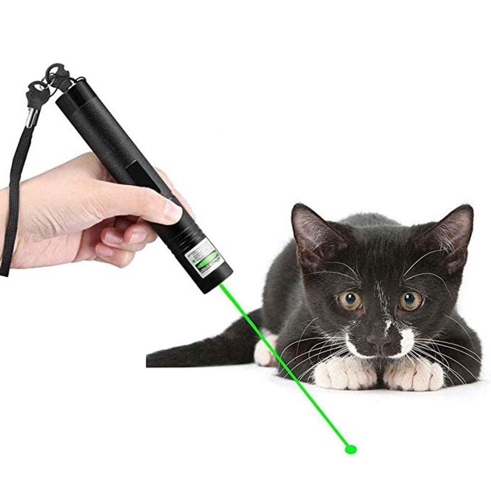 EcoRadiance - High-Performance Laserpointer 303