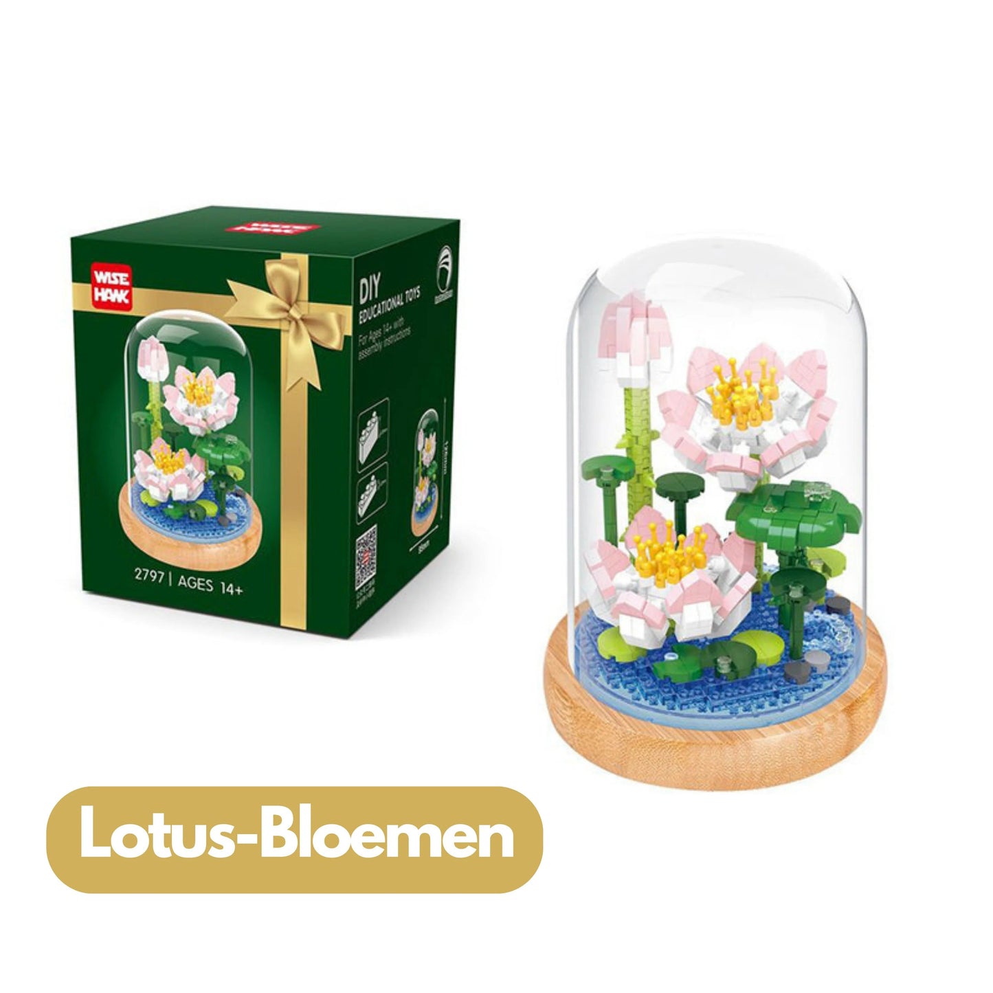 EverBloom | Creëer je Eigen Bloemenparadijs