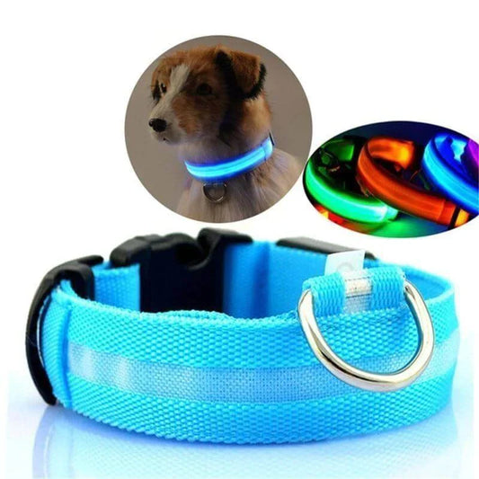 GlowPets | LED Halsband