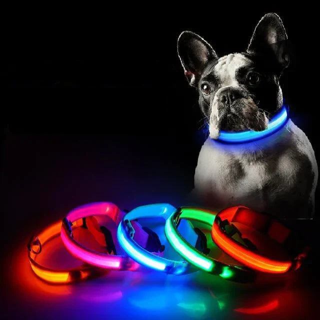 GlowPets | LED Halsband