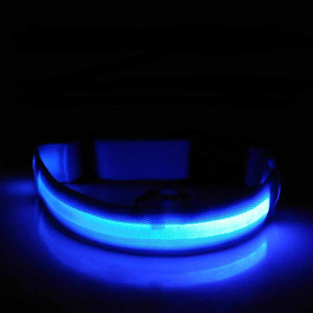 GlowPets | LED Halsband